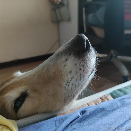 考研寒冰于2022-12-10 13:49发布的图片