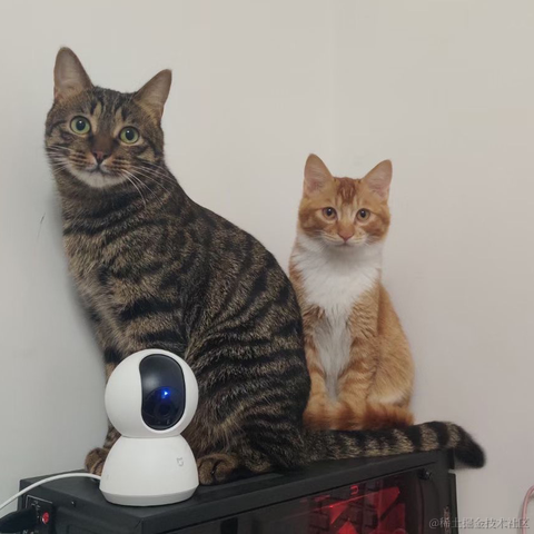 正经程序员于2022-01-25 14:27发布的图片