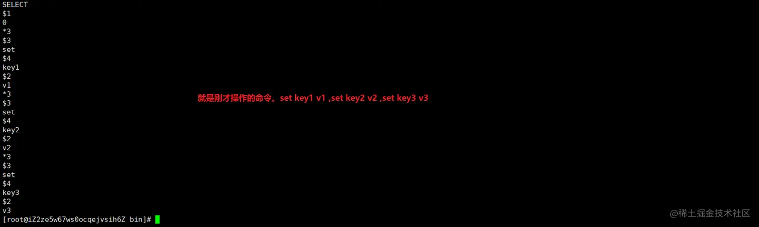 image-20200503160417499