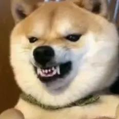 葳蕤繁祉于2022-12-28 16:59发布的图片