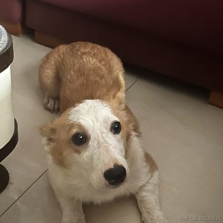 爱吃土豆丝呦于2024-06-14 12:12发布的图片