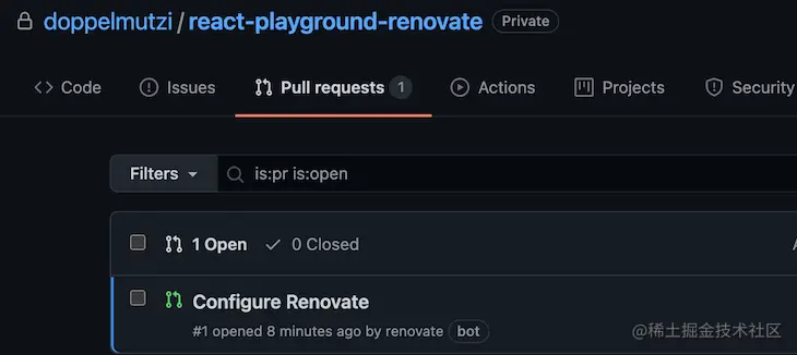 Configure Renovate Being Opened By Renovate