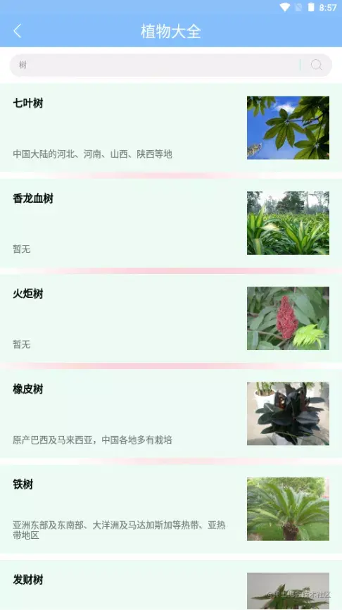 售票APP源码和设计报告