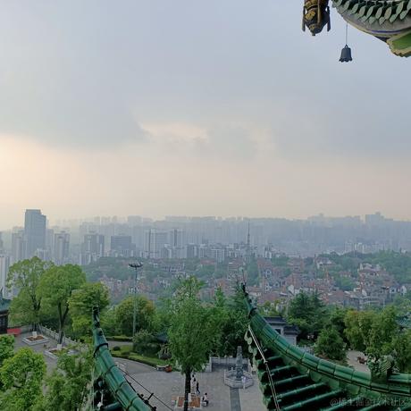 一个orange于2022-06-09 09:18发布的图片