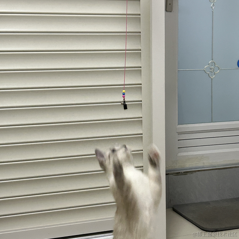 llight于2023-04-20 21:11发布的图片