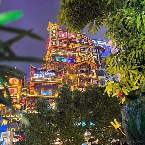 让小熊飞于2024-03-15 12:19发布的图片