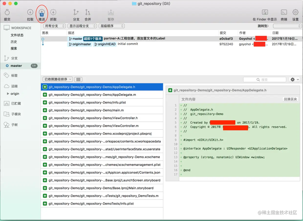 提交项目信息、构建版本之后  本地仓库信息