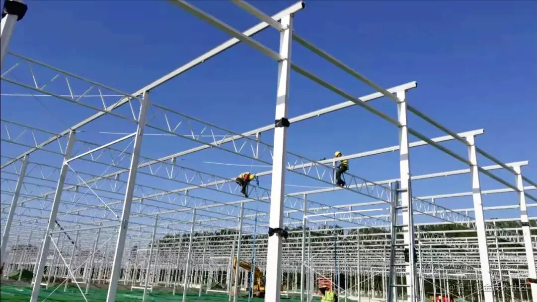 玻璃温室在冬季运营中哪些因素尤为重要