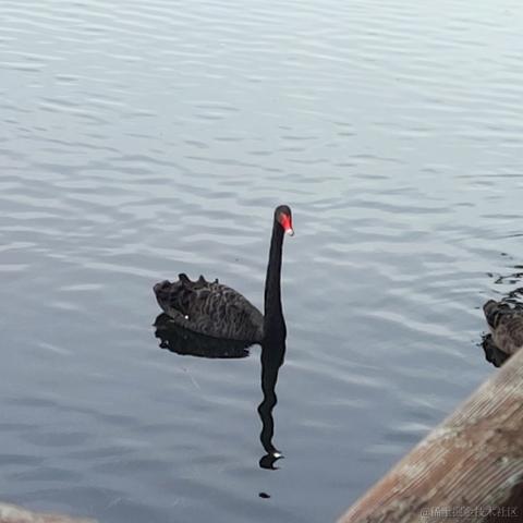 You1i于2023-05-03 15:19发布的图片