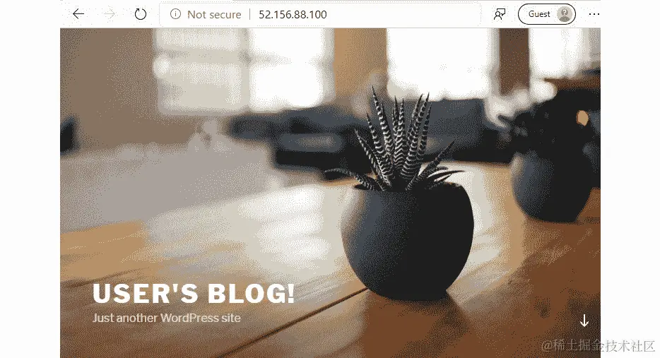 屏幕将显示 WordPress 博客的默认外观。