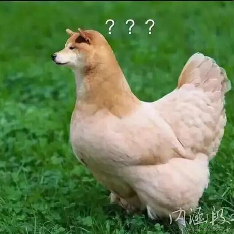 榴莲櫻桃于2021-12-19 20:50发布的图片
