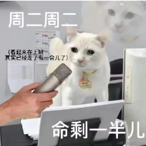 客怎眠于2024-02-27 08:44发布的图片