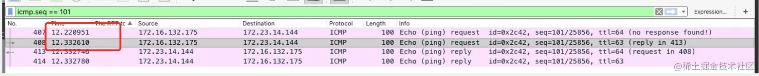 ping_server_pcap.png