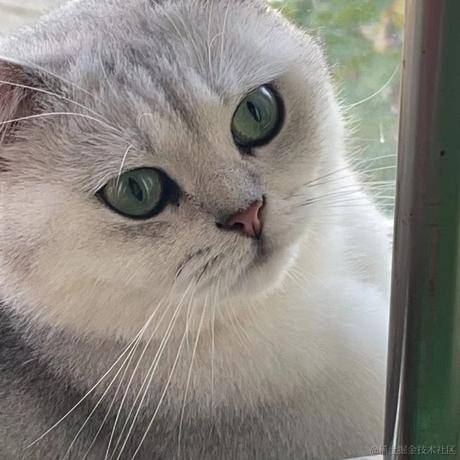 一光光一于2022-11-25 01:50发布的图片