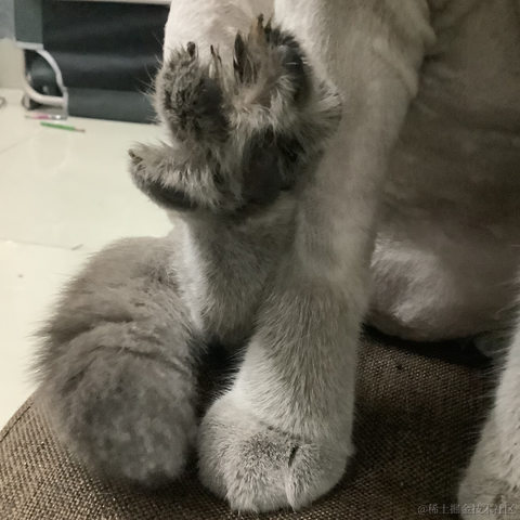 是然比不是猪比于2023-07-01 19:12发布的图片