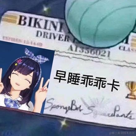 贝拉兔饲养员于2022-11-28 00:42发布的图片