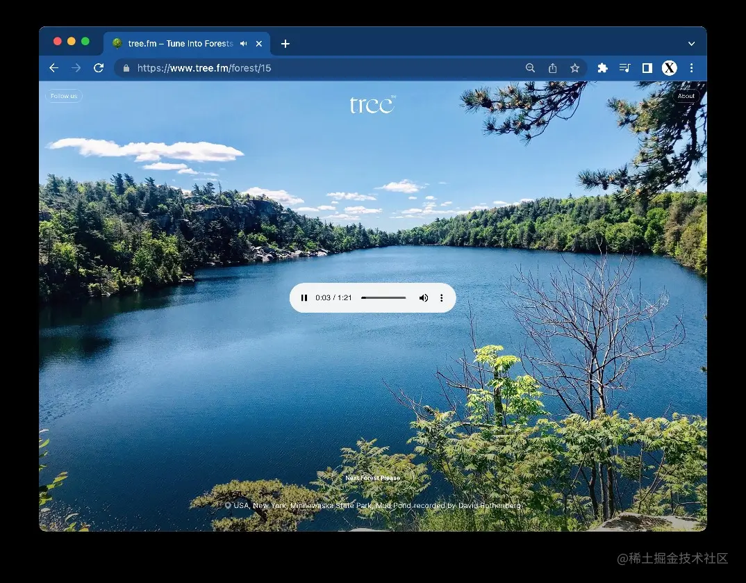tree.fm – Tune Into Forests From Around The World 🌳🔈