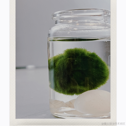 红毛丹于2022-04-29 21:15发布的图片