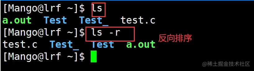 image-20220224204156955