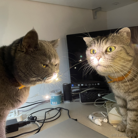 StupidCat_W于2022-09-23 16:19发布的图片
