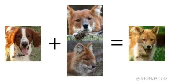 极少的样本实现极逼真的变形，“AI造假神术”驱动的换脸模型有望颠覆时尚界