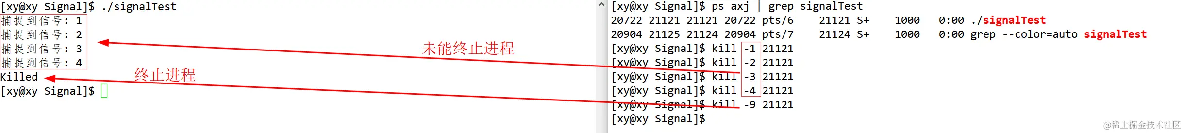 image-20230330233343954