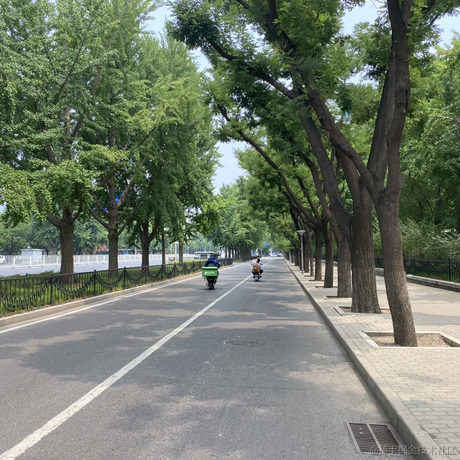 Foreveryoung于2023-05-17 10:04发布的图片