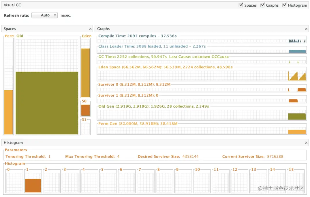 图 3：Visual GC 执行截图。