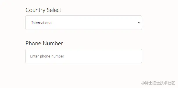 React Phone Number Input Field Example