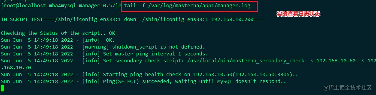 image-20220605151840775