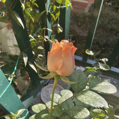 地衣君于2022-12-18 15:07发布的图片