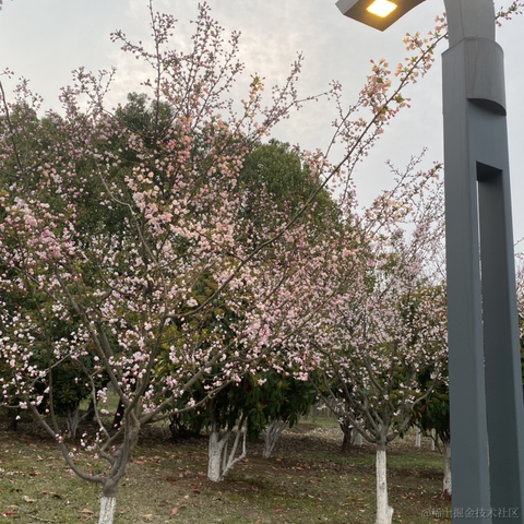 jy007于2023-03-19 18:04发布的图片