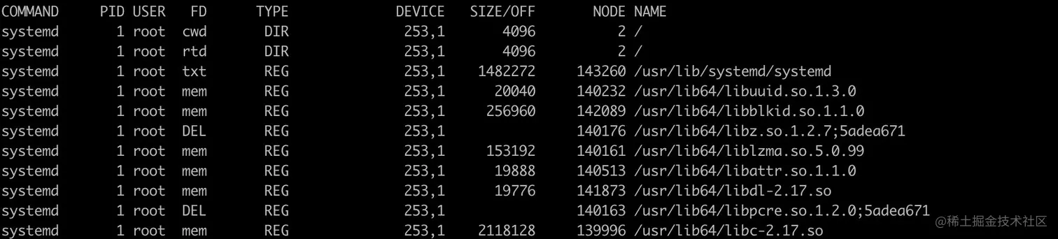 image-20210314225624995