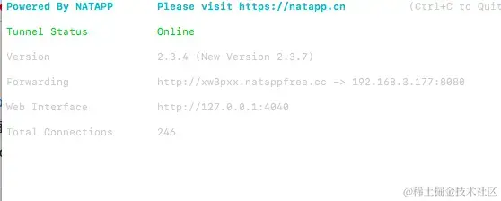 内网端口映射到外网域名了