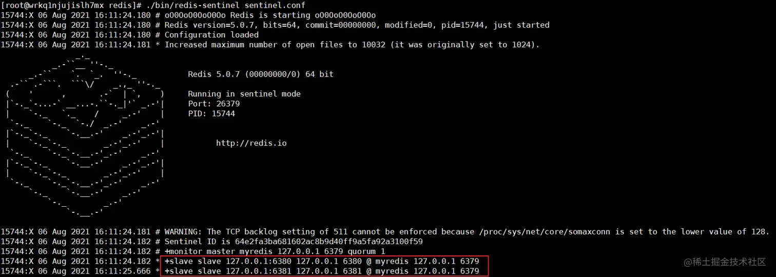 image-20210806162507446