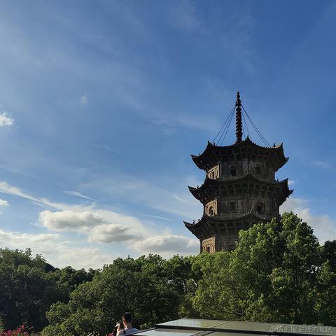 想不起来取啥名于2024-06-23 17:21发布的图片