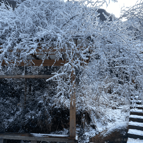 _你小子于2022-11-29 15:10发布的图片