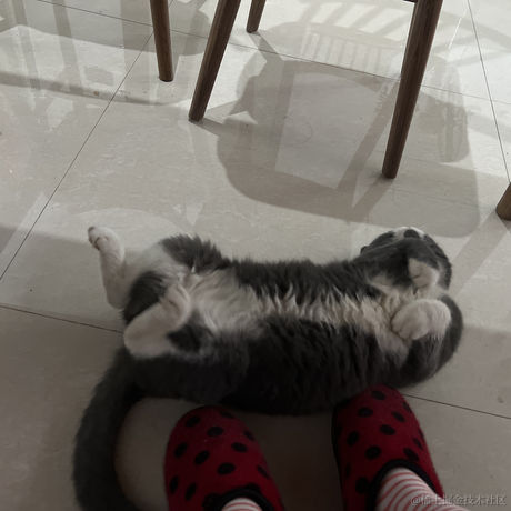 王族蓋于2022-11-29 08:40发布的图片