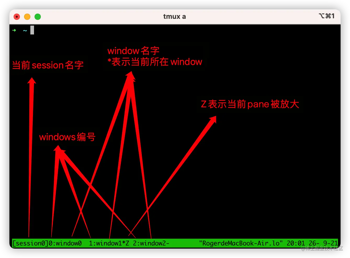 image-20210926200325384.png
