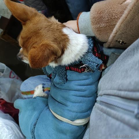 哈莉奎茵于2023-01-15 18:14发布的图片