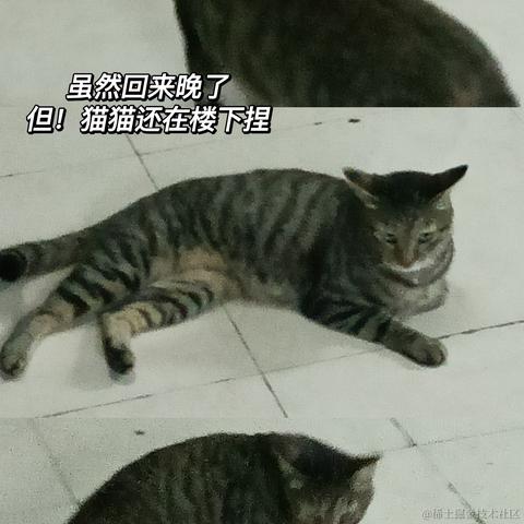 Raee于2023-05-03 22:40发布的图片