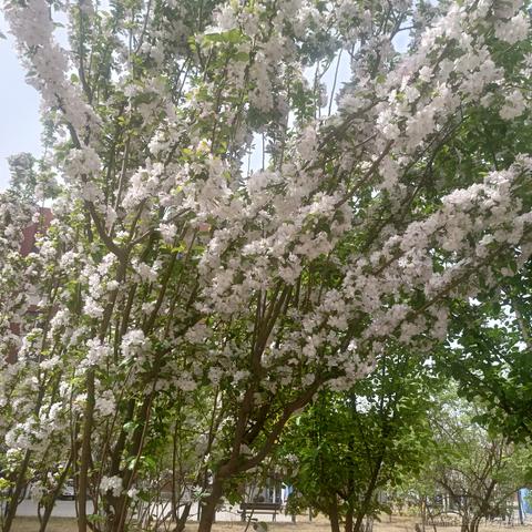 oneelsewillifyoudont于2023-04-11 17:12发布的图片