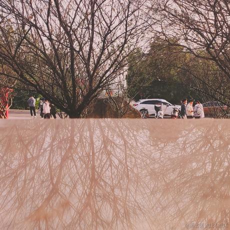 嘉然今天吃小黄于2022-11-13 22:57发布的图片