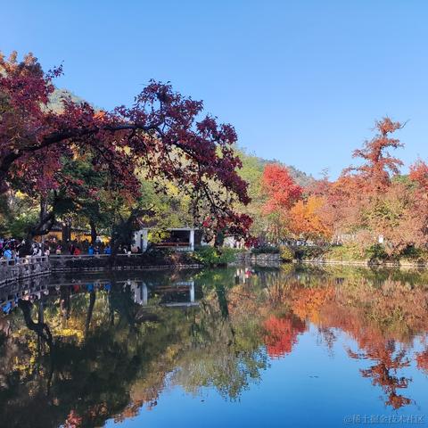 优秀稳妥的金枪小魔王于2023-11-22 11:24发布的图片